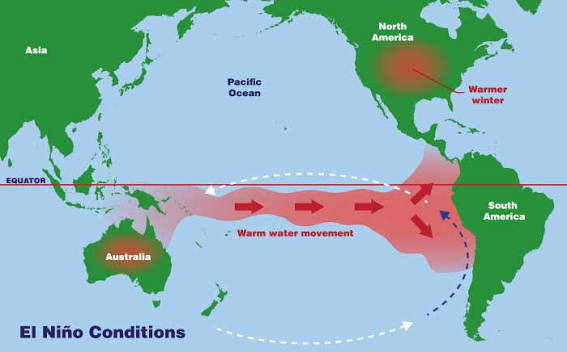 Pacific map illustrating eastward warm-water movement during El Niño.
