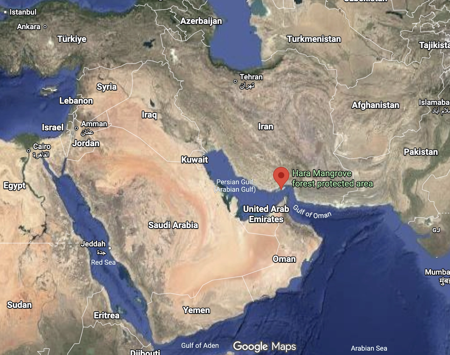 Hara Mangrove forest protected area