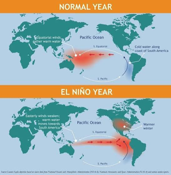 Comparison of Pacific Ocean circulation in a normal year and an El Niño year