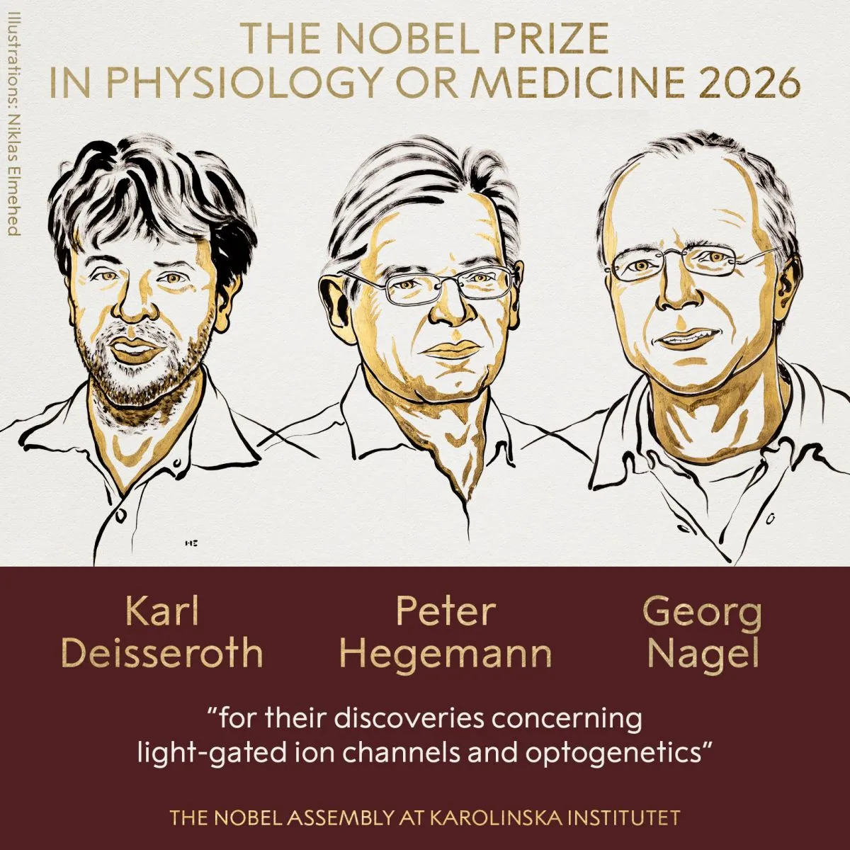 Illustration of 2026 Nobel medicine laureates Karl Deisseroth, Peter Hegemann and Georg Nagel