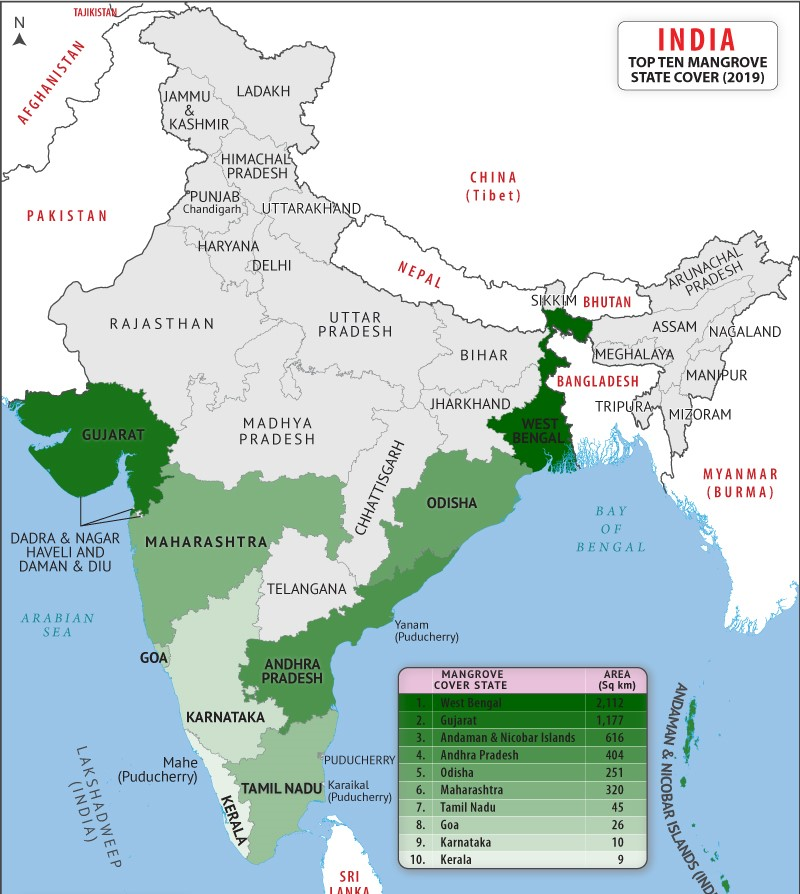 Map showing the leading Indian States and Union Territories by mangrove cover in 2019